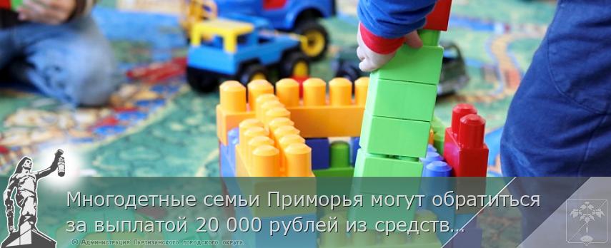 Многодетные семьи Приморья могут обратиться за выплатой 20 000 рублей из средств маткапитала, сообщает www.primorsky.ru